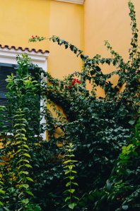 Ciutadella Menorca Guide