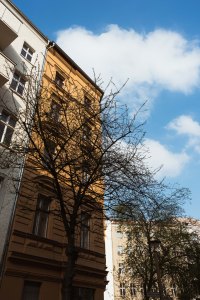 Exploring East Berlin