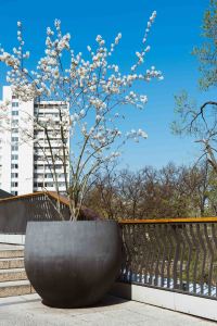 Cool Places Berlin Bikini