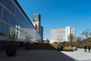 Cool Places Berlin Bikini