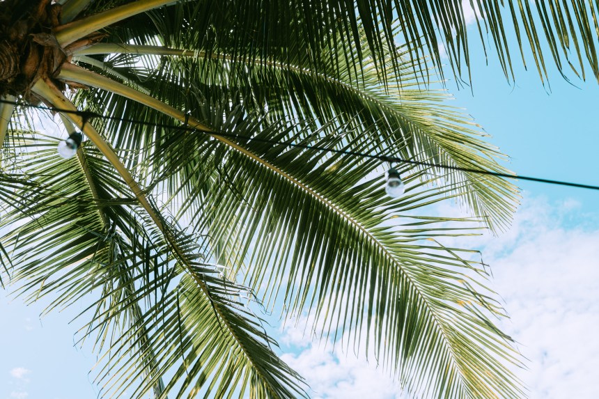 Santa Teresa - Costa Rica-25