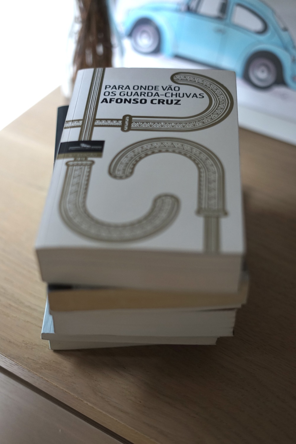 Para Onde Vão os Guarda-Chuvas - Afonso Cruz