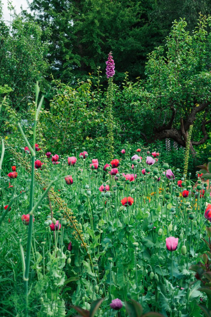 Virginia Woolf - Monk's House - Jardins